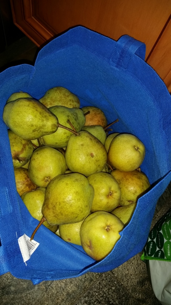 sonia's pears
